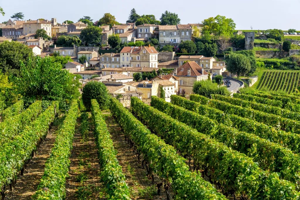 Bordeaux vineyards, France